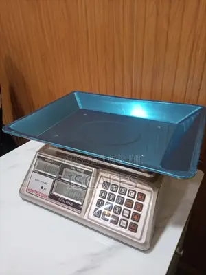 Price Computing Weighing Scale Weigh 60kg Digital Weighing Scale
