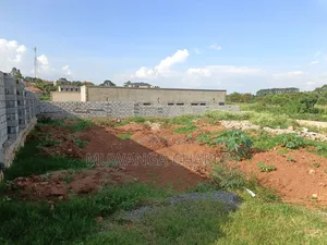 25decimals Plot on Land on Quick Sale in Kungu