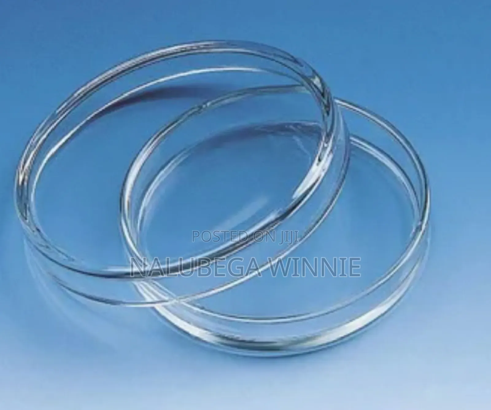 Plastic Petri Dishes