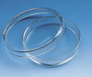 Plastic Petri Dishes