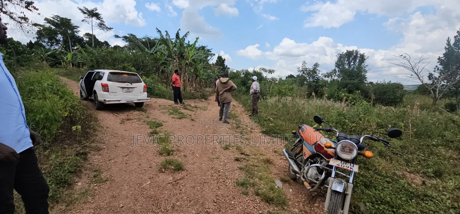 Buy This Land Now
