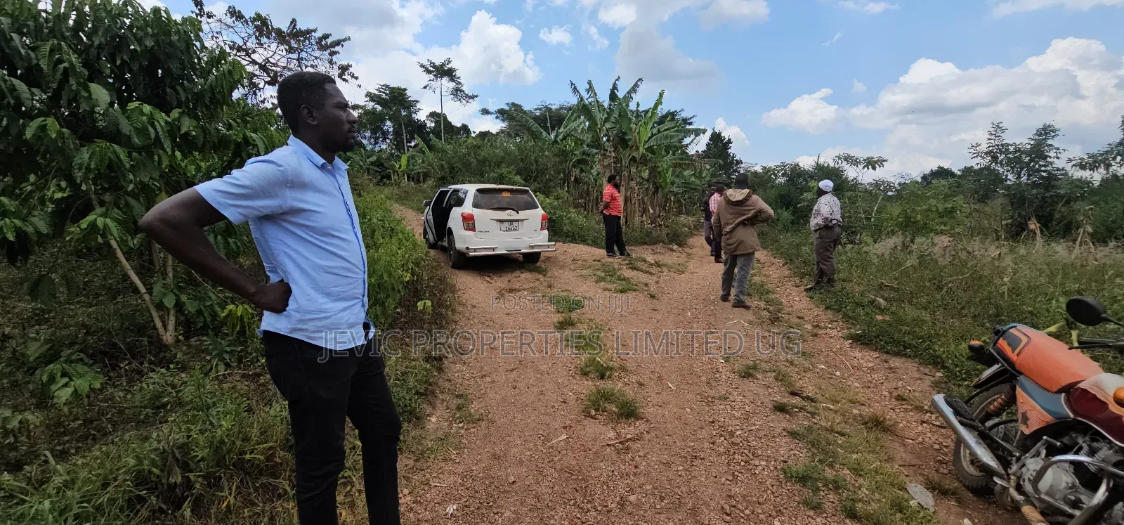 Buy This Land Now