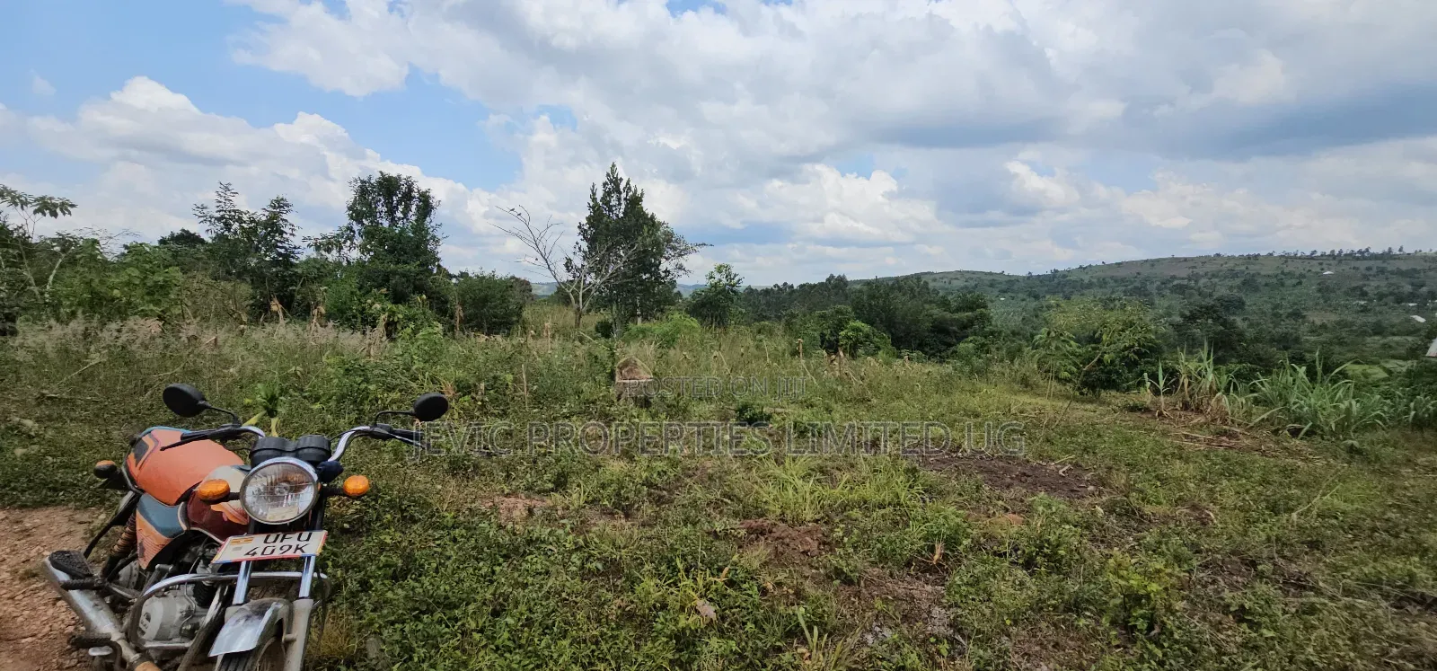 Buy This Land Now