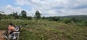 Buy This Land Now