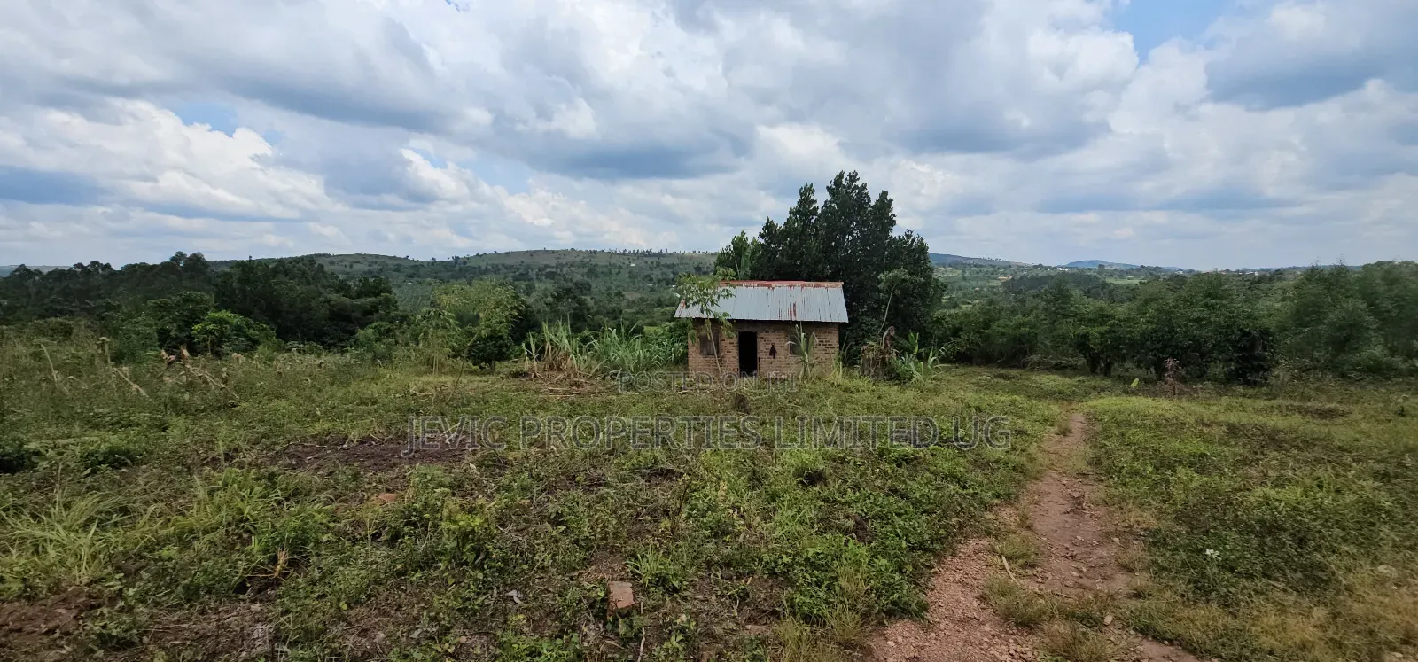 Buy This Land Now