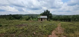 Buy This Land Now