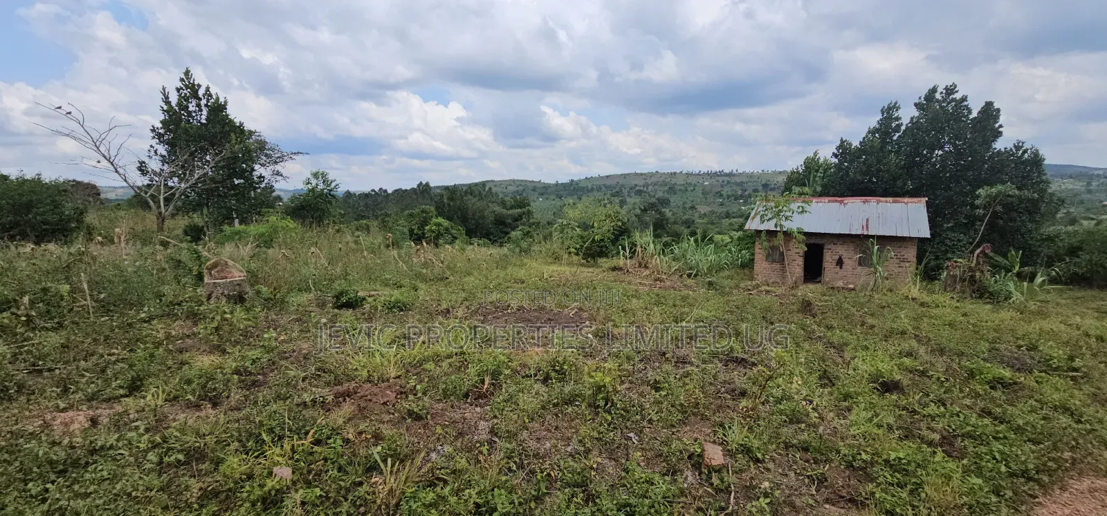 Looking for Farm Land _ Mityana Busunju