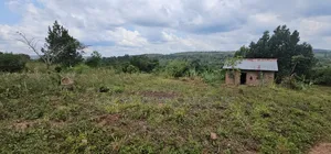 Looking for Farm Land _ Mityana Busunju