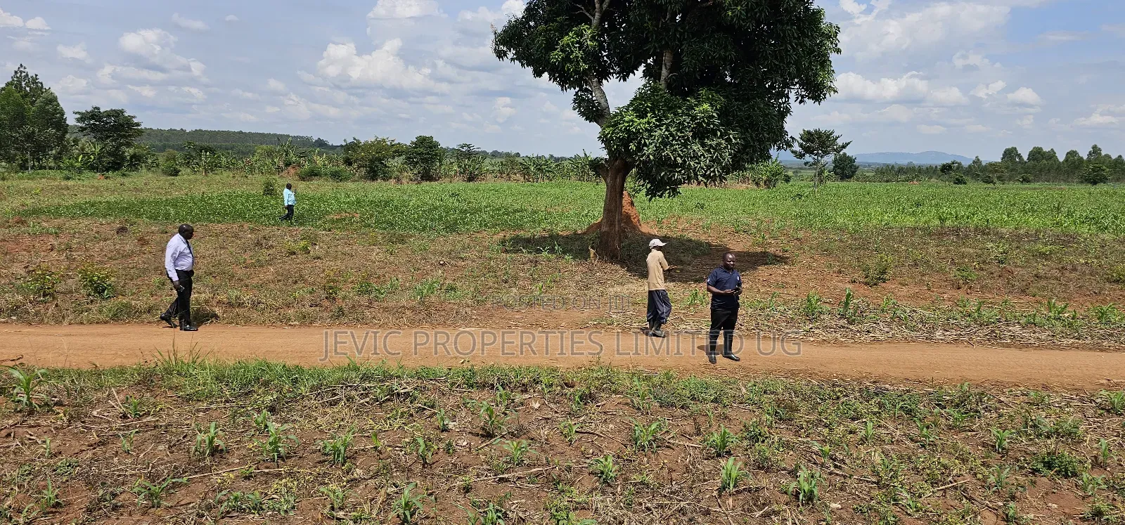 You Need Acres ,Get These 45 Acres at Kikyusa Wobulenzi
