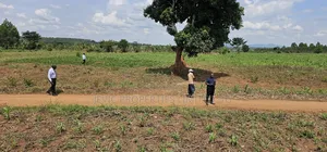 You Need Acres ,Get These 45 Acres at Kikyusa Wobulenzi