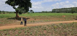 You Need Acres ,Get These 45 Acres at Kikyusa Wobulenzi