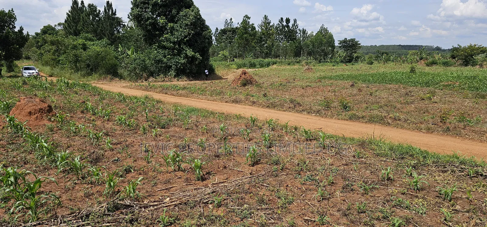 You Need Acres ,Get These 45 Acres at Kikyusa Wobulenzi