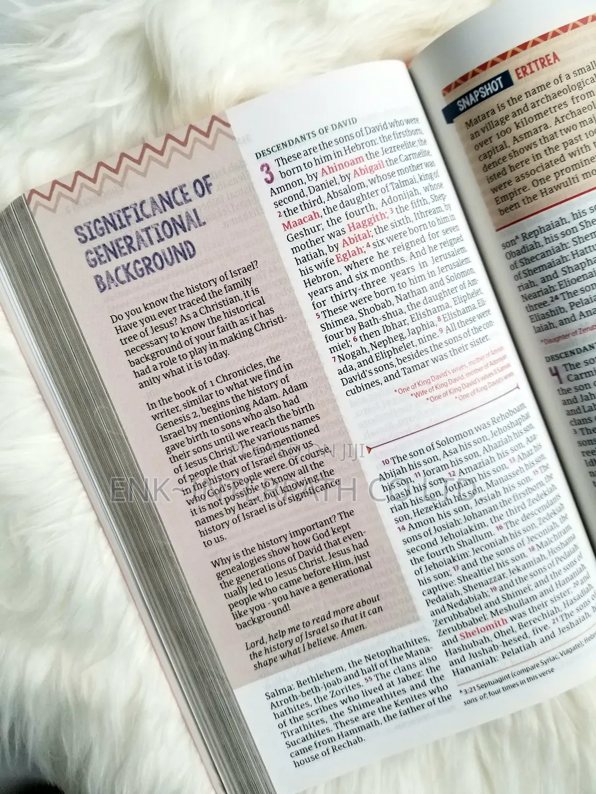 Bible - African Women Devotional Bible