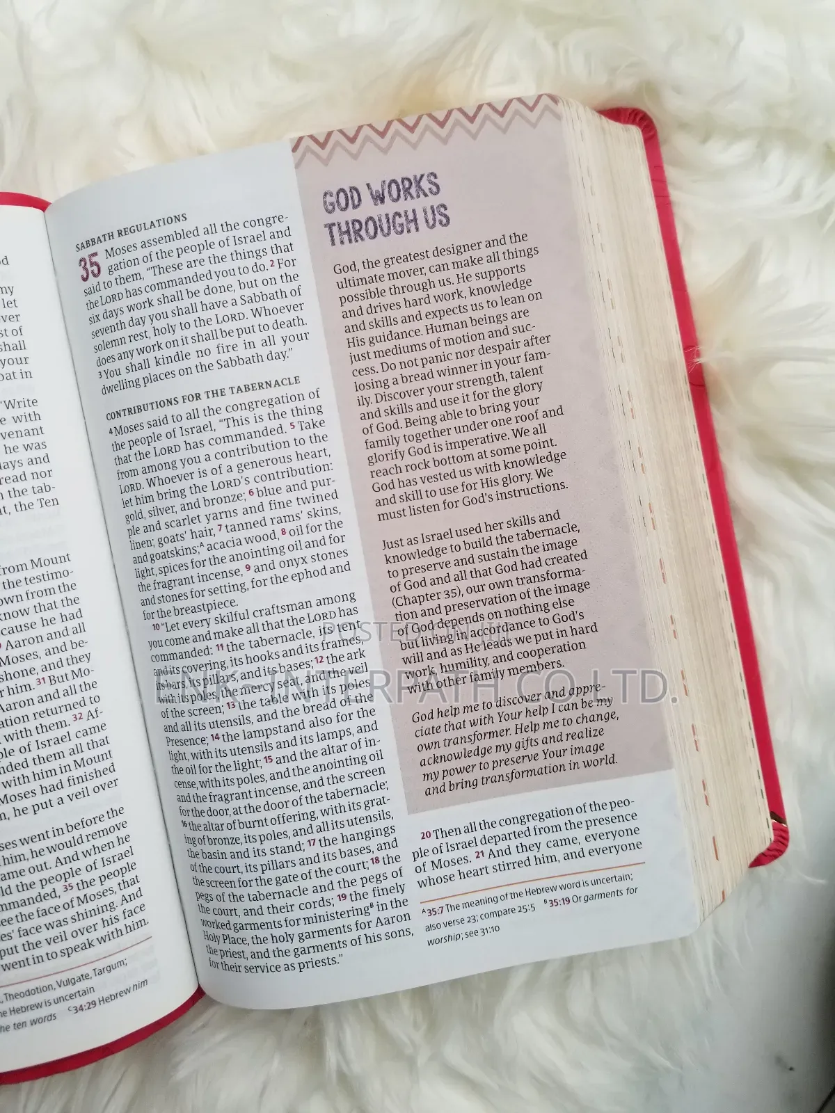 Bible - African Women Devotional Bible