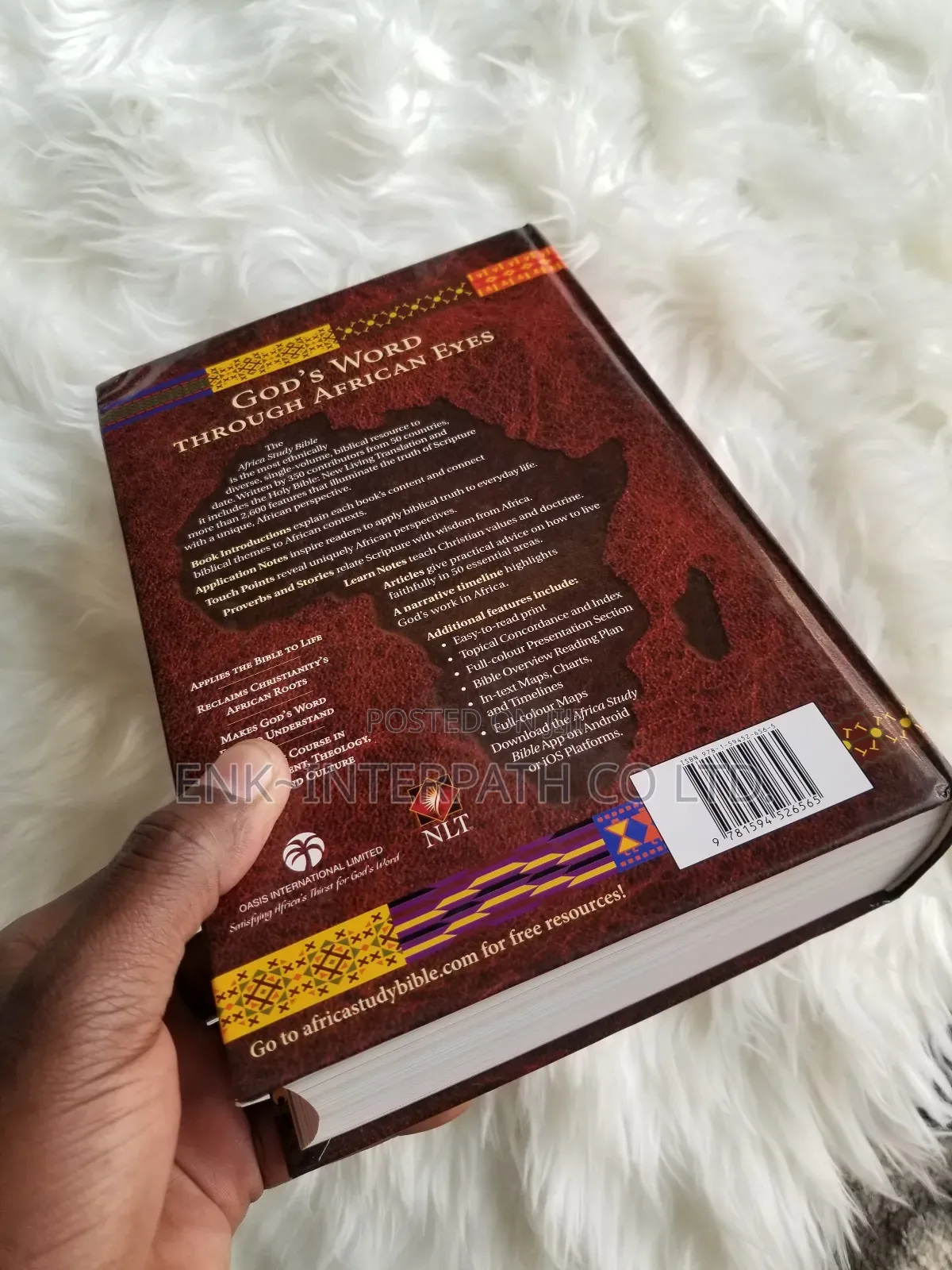 Bible - Africa Study Bible
