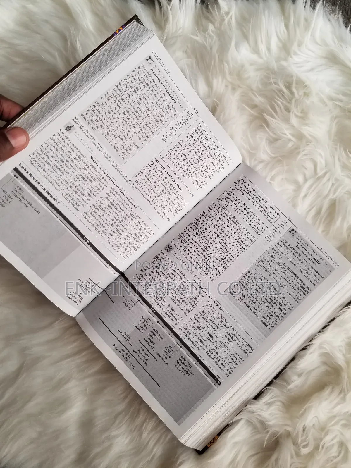 Bible - Africa Study Bible