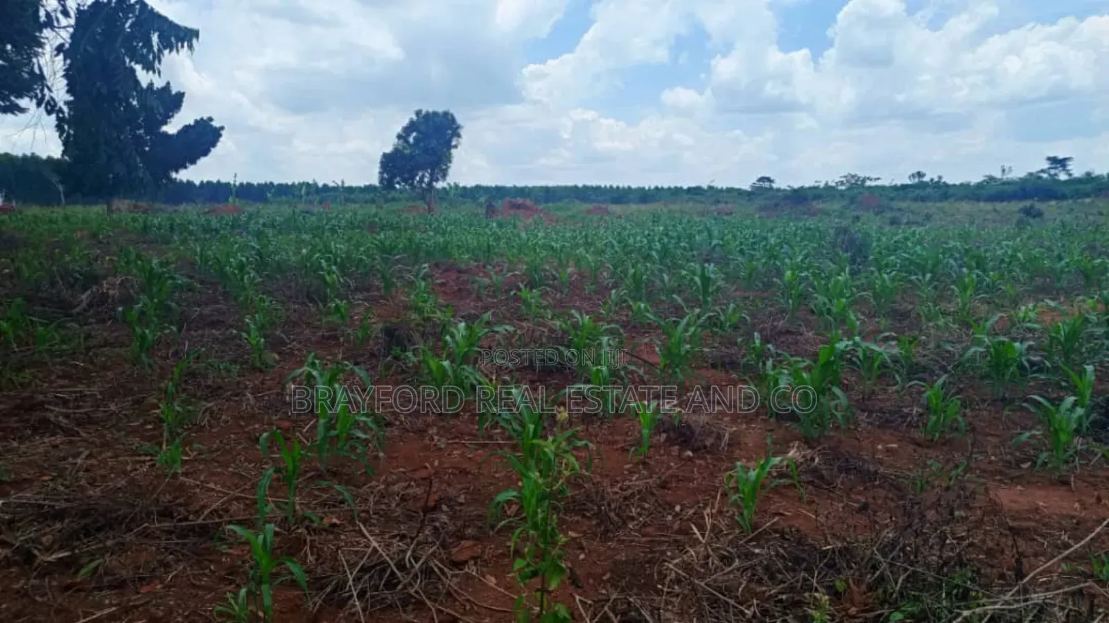 Brayford Smart Farm Land for Sale