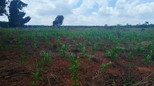 Brayford Smart Farm Land for Sale
