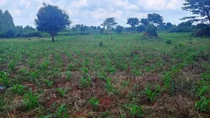 Brayford Smart Farm Land for Sale