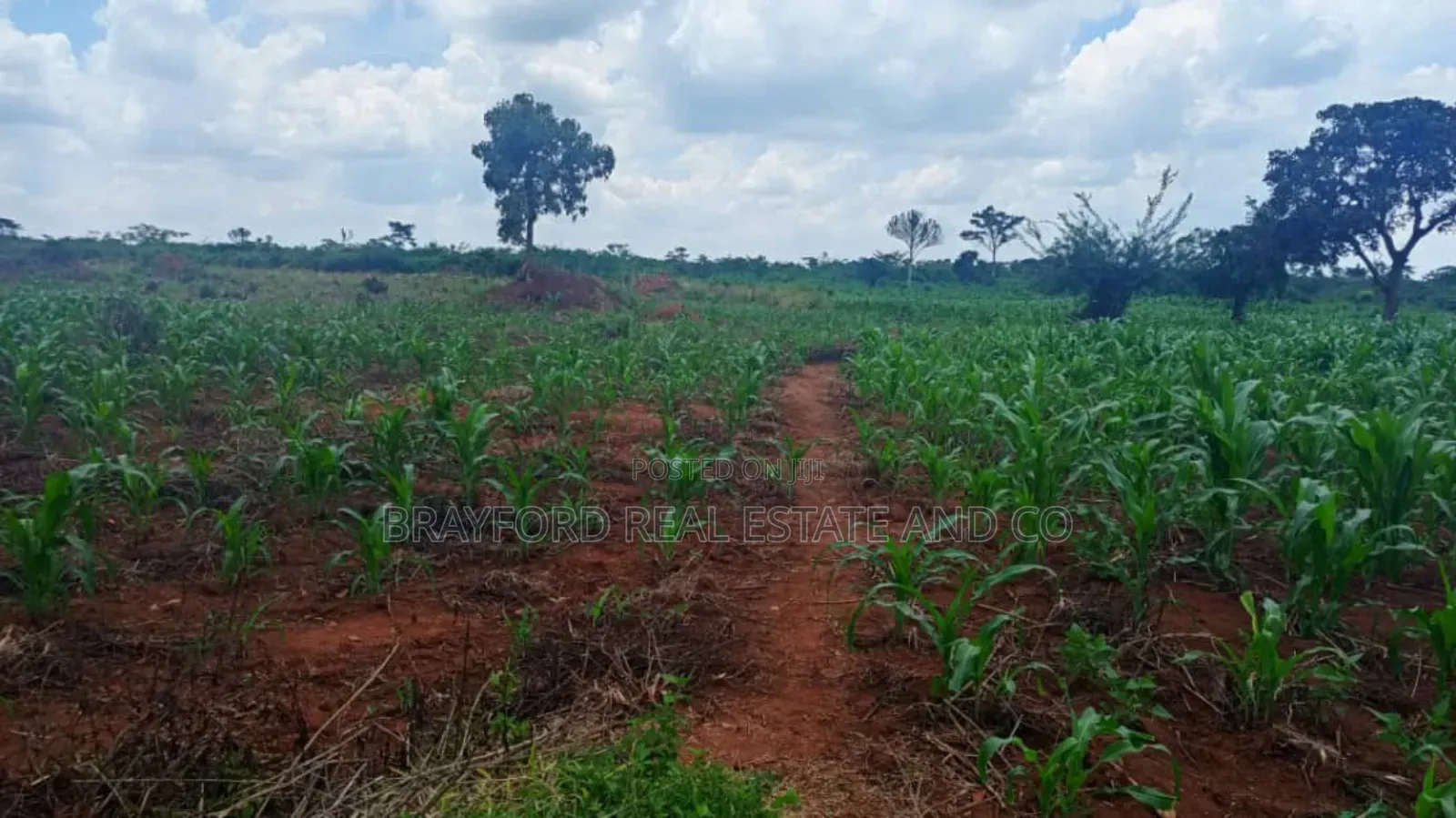 Brayford Smart Farm Land for Sale