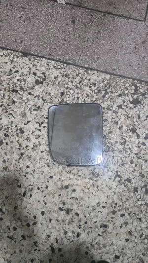 Hadrier Old Model Mirror Plate
