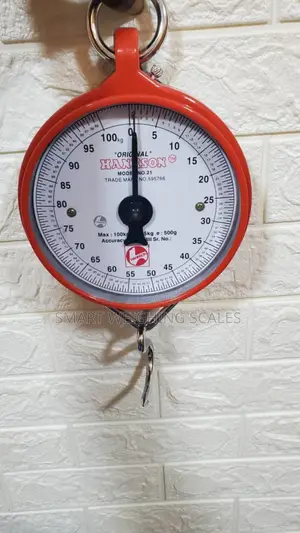 Mechanical Weighing Scale Manual Weigh 100kg Scrap Weighing Scale