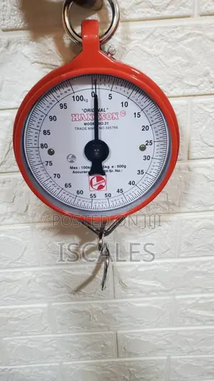 Mechanical Weighing Scale Manual Weigh 100kg Scrap Weighing Scale