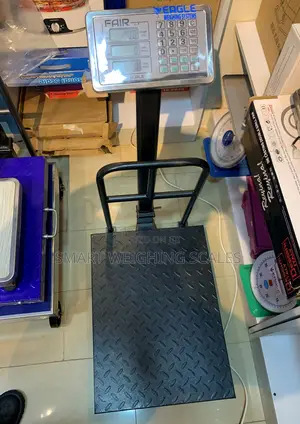 Price Computing Weighing Scale Weigh 400kg Digital Weighing Scale