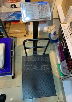 Price Computing Weighing Scale Weigh 400kg Digital Weighing Scale