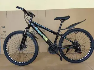 Adult Bicycle Black