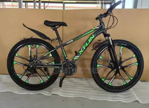 Adult Bicycle Size 26