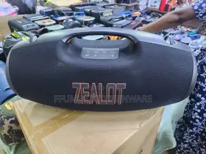 Wireless Speaker Zealot S 89