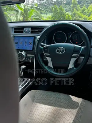 Toyota Mark X 2.5 AWD 2010 Gray