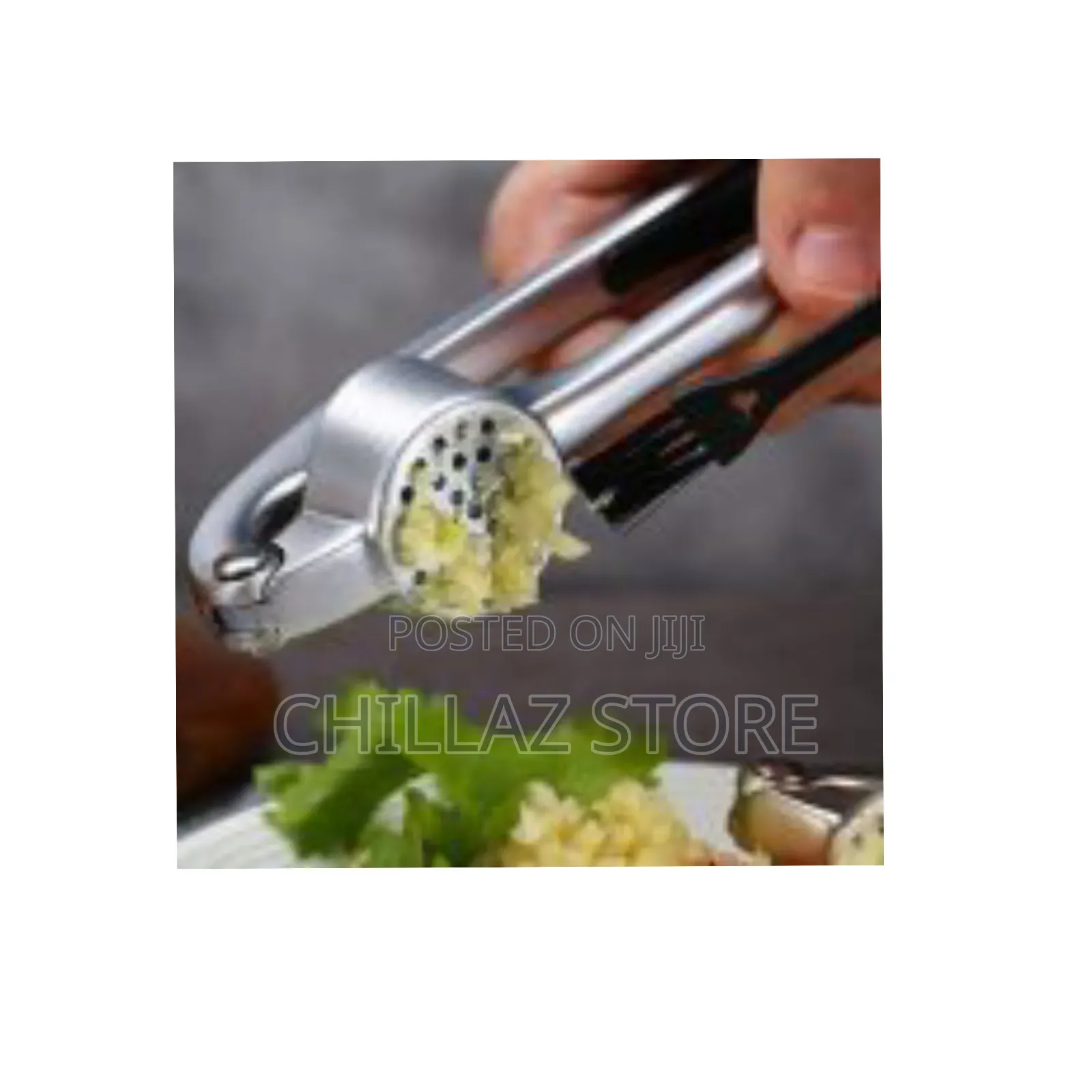 Stainless Steel Garlic Press.