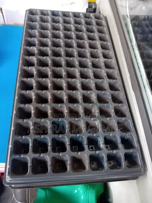 Seedling Trays