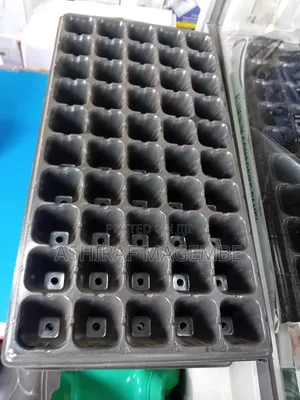 Seedling Trays