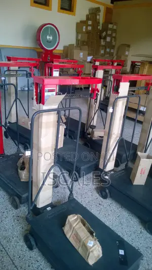 Original Weighing Scale Platform Weigh Mechanical Weighing Scale 300kg