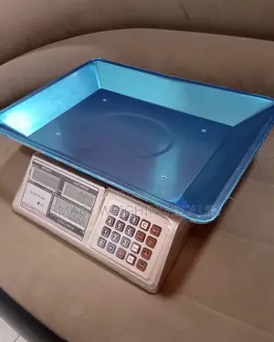 Electronic Weigh 5g Shop Weighing Scale 50kg Digital Weighing Scale