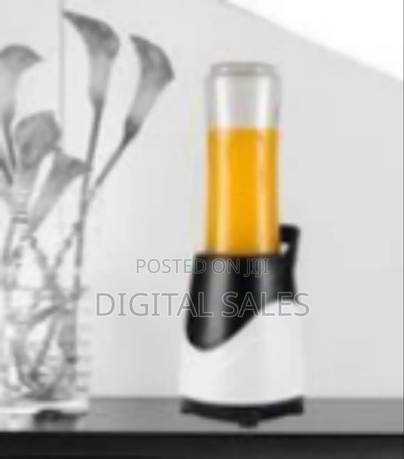 Cntronic Lef-611 Professional Rechargeable Travel Mini Juicer