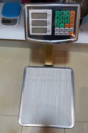 Platform Digital Weighing Scale 100kg/20g Weigh Accurate Weigh Scale