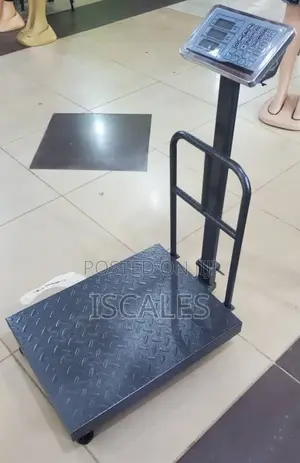 Platform Digital Weighing Scale 400kg/20g Weigh Accurate Weigh Scale