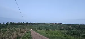 Hot Plots on Sale at Kakiri- Gobero