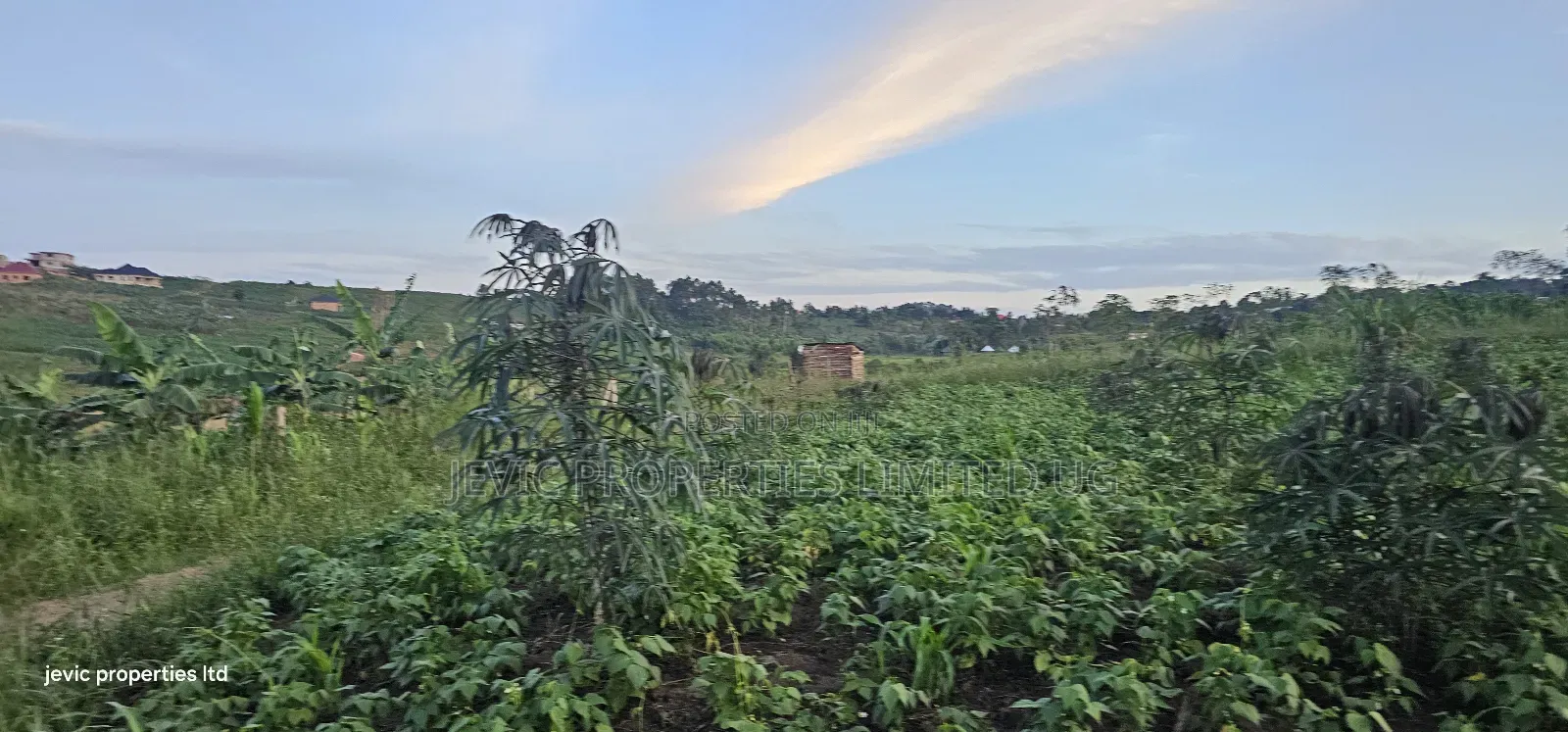 Hot Plots on Sale at Kakiri- Gobero