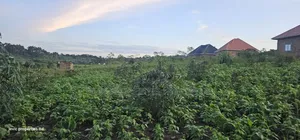 Hot Plots on Sale at Kakiri- Gobero