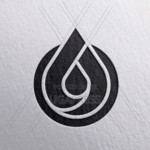 Professional Logo Designing