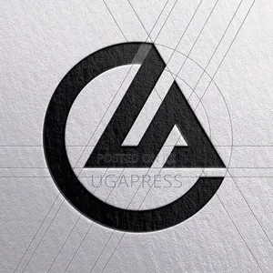 Professional Logo Designing