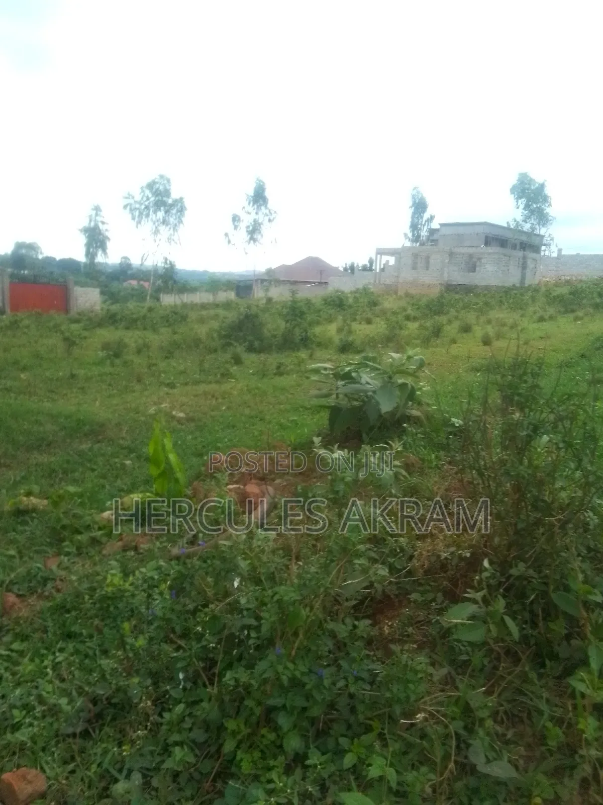 Plot 50ft × 50ft