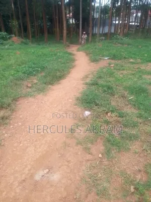 Plot 50ft × 50ft