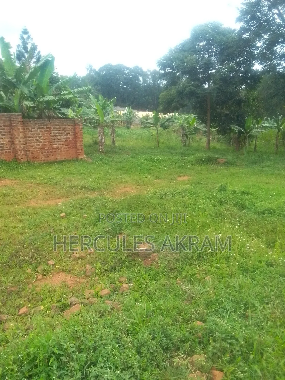 Plot 50ft × 50ft
