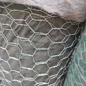 Kuku Net,Chicknet